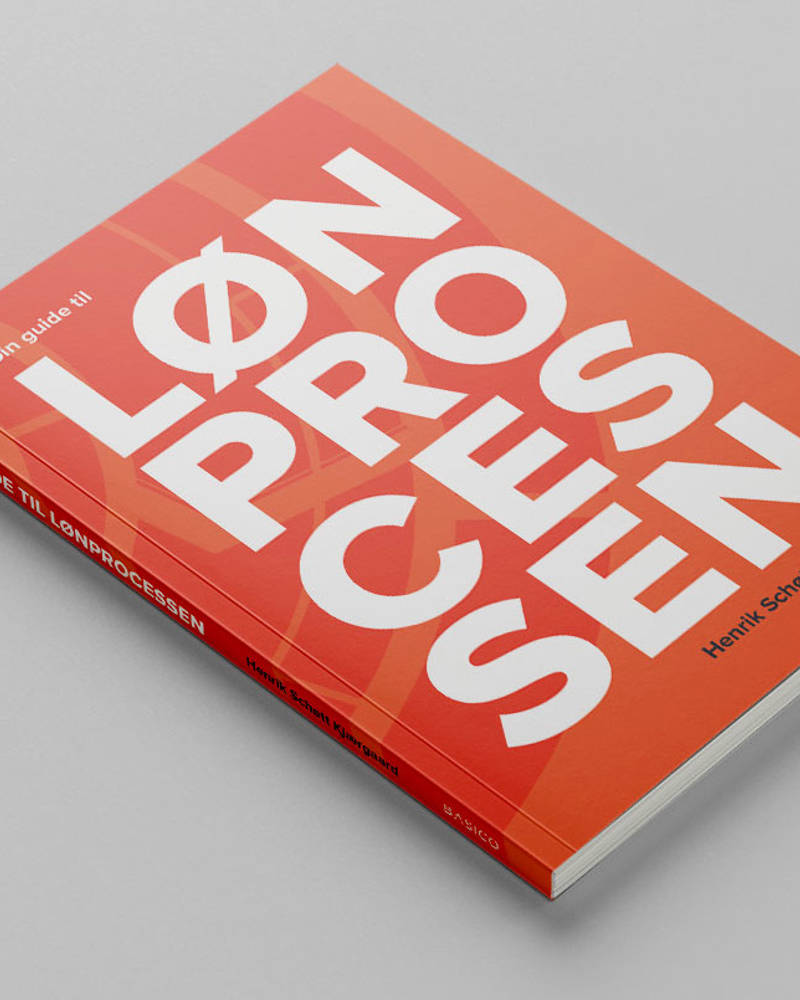 Din Guide Til Lønprocessen Basico 02